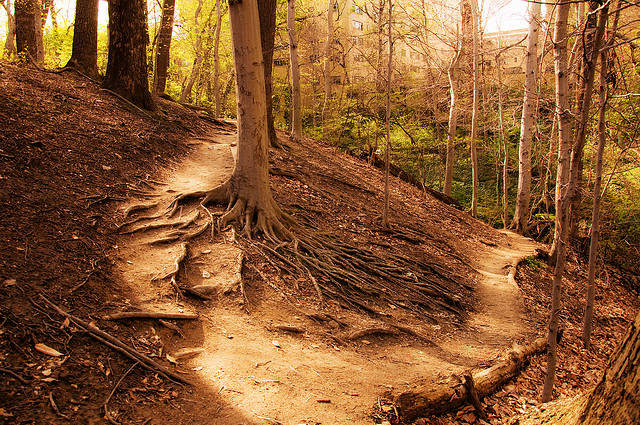 3455044234_6397794593_z