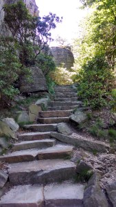 IMG_20140614_134903975_HDR