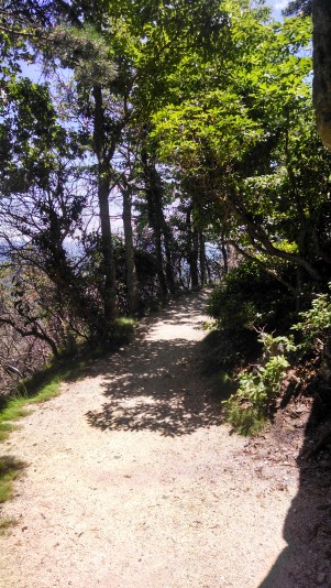 IMG_20140614_134736708_HDR